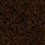 Pugirg Fenice 1241.jpg